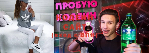 соль ск Пестово