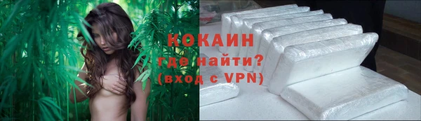 соль ск Пестово
