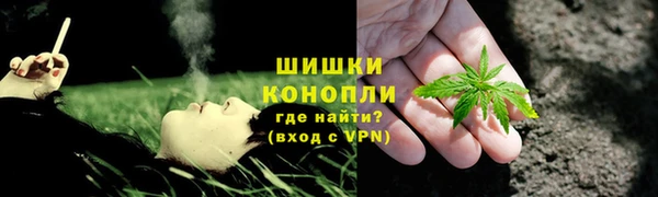 ПСИЛОЦИБИНОВЫЕ ГРИБЫ Пересвет