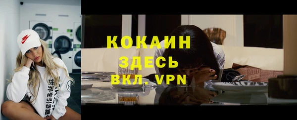 ПСИЛОЦИБИНОВЫЕ ГРИБЫ Пересвет