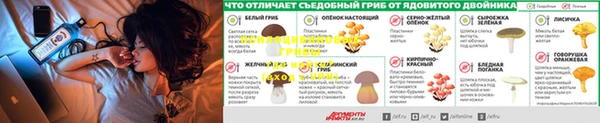 соль ск Пестово