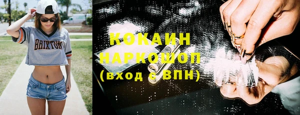 ПСИЛОЦИБИНОВЫЕ ГРИБЫ Пересвет