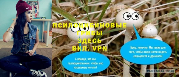 ПСИЛОЦИБИНОВЫЕ ГРИБЫ Пересвет